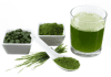 Chlorella in Green Algae Makes it a Detoxing Superfood