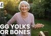 An Egg a Day May Keep Osteoperosis at Bay