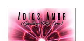 Adios Amore (Goodbye My Love)