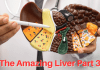 The Amazing Liver Part 3: Health, Healing & Longevity