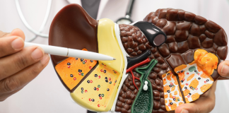 The Amazing Liver Part 3: Health, Healing & Longevity