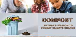 Composting Magic: When You Feed the Earth You Feed the Future