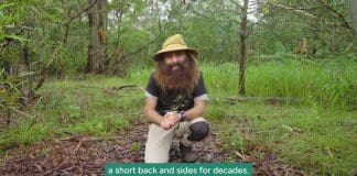 Join Costa Georgiadis and Help to Bring Back the Bush
