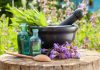 Herbal Medicine & Fertility – Practitioner Spotlight