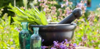 Herbal Medicine & Fertility – Practitioner Spotlight