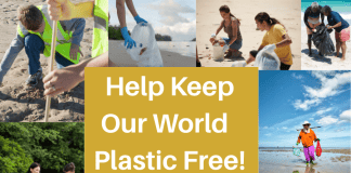 Plastic Free July Update – It is never too late to take action.