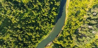 What Happens When a River Has Legal Rights: