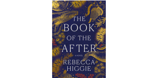 The Book of the After by Rebecca Higgie