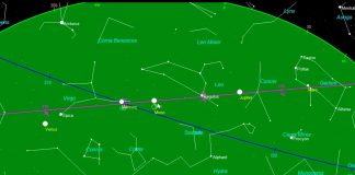 The September New Moon: A Time of Alignment, Trust and Transformation